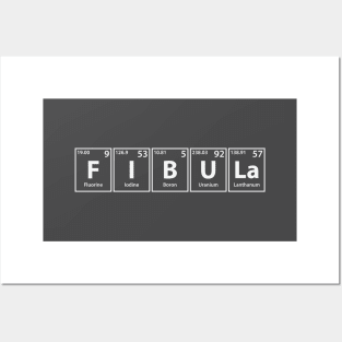 Fibula (F-I-B-U-La) Periodic Elements Spelling Posters and Art